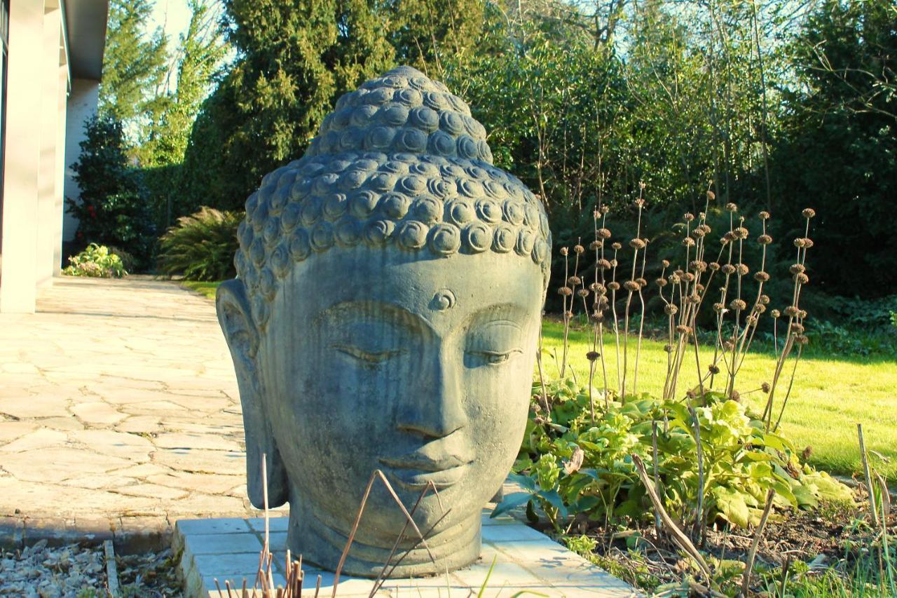 Villa Pura Vida Kortrijk Exteriér fotografie